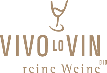 Logo Vivo Lo Vin